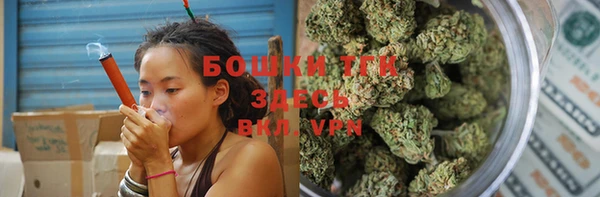 молекула духа Каменск-Шахтинский