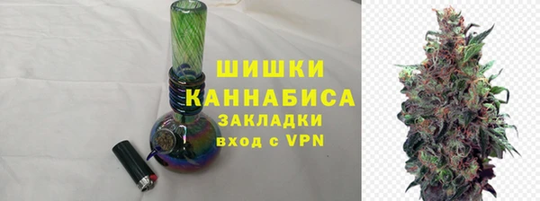 дживик Каменногорск