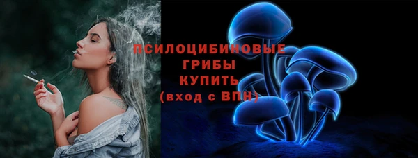 дживик Каменногорск