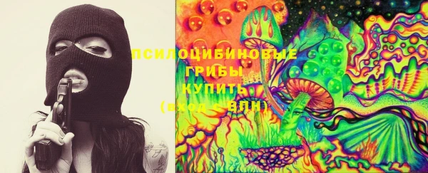 молекула духа Каменск-Шахтинский
