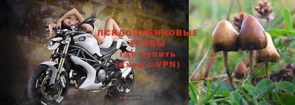 молекула духа Каменск-Шахтинский