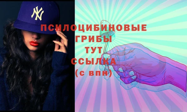 дживик Каменногорск